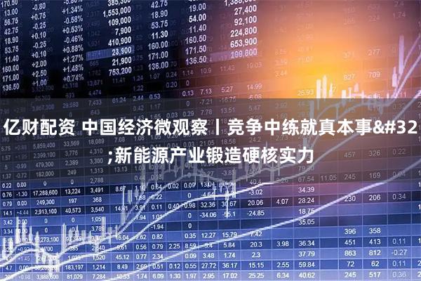 亿财配资 中国经济微观察丨竞争中练就真本事 新能源产业锻造硬核实力