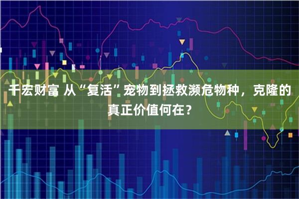 千宏财富 从“复活”宠物到拯救濒危物种，克隆的真正价值何在？