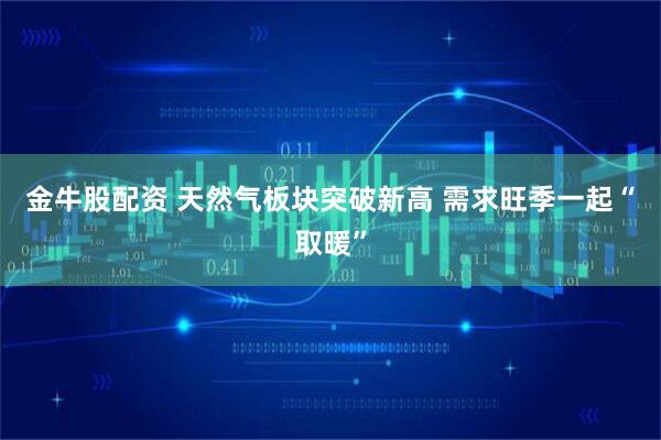 金牛股配资 天然气板块突破新高 需求旺季一起“取暖”