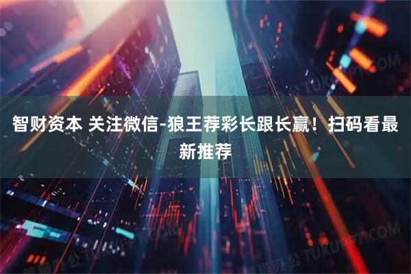 智财资本 关注微信-狼王荐彩长跟长赢！扫码看最新推荐